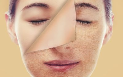Vivace – Out with the Old Skin, In with the New